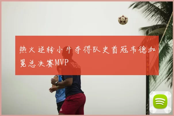 热火逆转小牛夺得队史首冠韦德加冕总决赛MVP